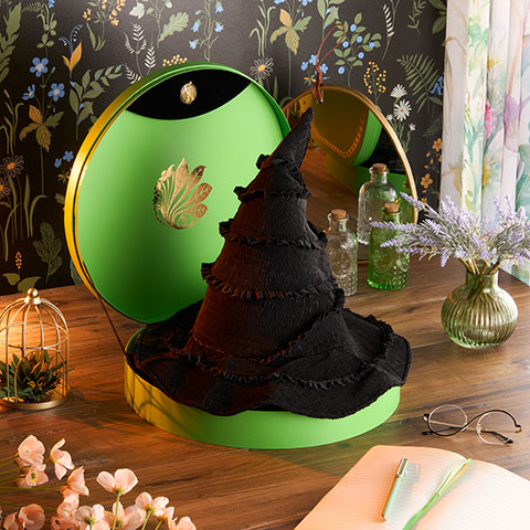 Chapeau de Elphaba - Boîte collector - Wicked Chapeau de Elphaba - Boîte collector - Wicked