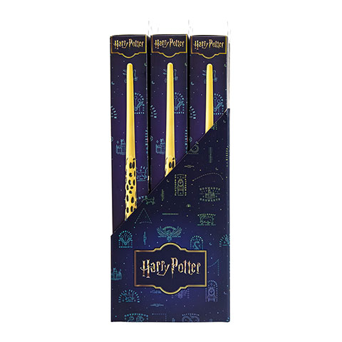 Présentoir 12 baguettes PVC - Harry Potter