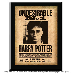 NNXT0023-Plaque Undesirable N°1 Harry Potter